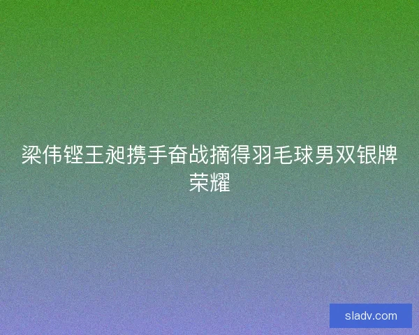 梁伟铿王昶携手奋战摘得羽毛球男双银牌荣耀